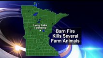 Barn Fire South Of Brainerd Kills Several Farm Animals