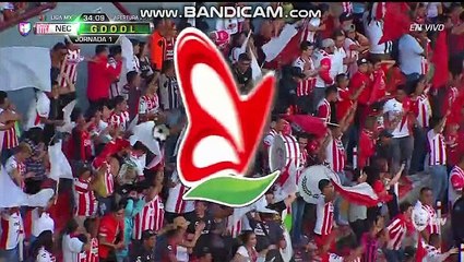 Victor Davila Goal - Necaxa vs Club America 1-0