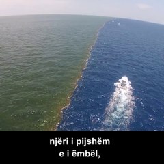 Dy detet te cilët bashkohen por nuk përzihen! Vetëm fuqia e Allahut e bën këtë