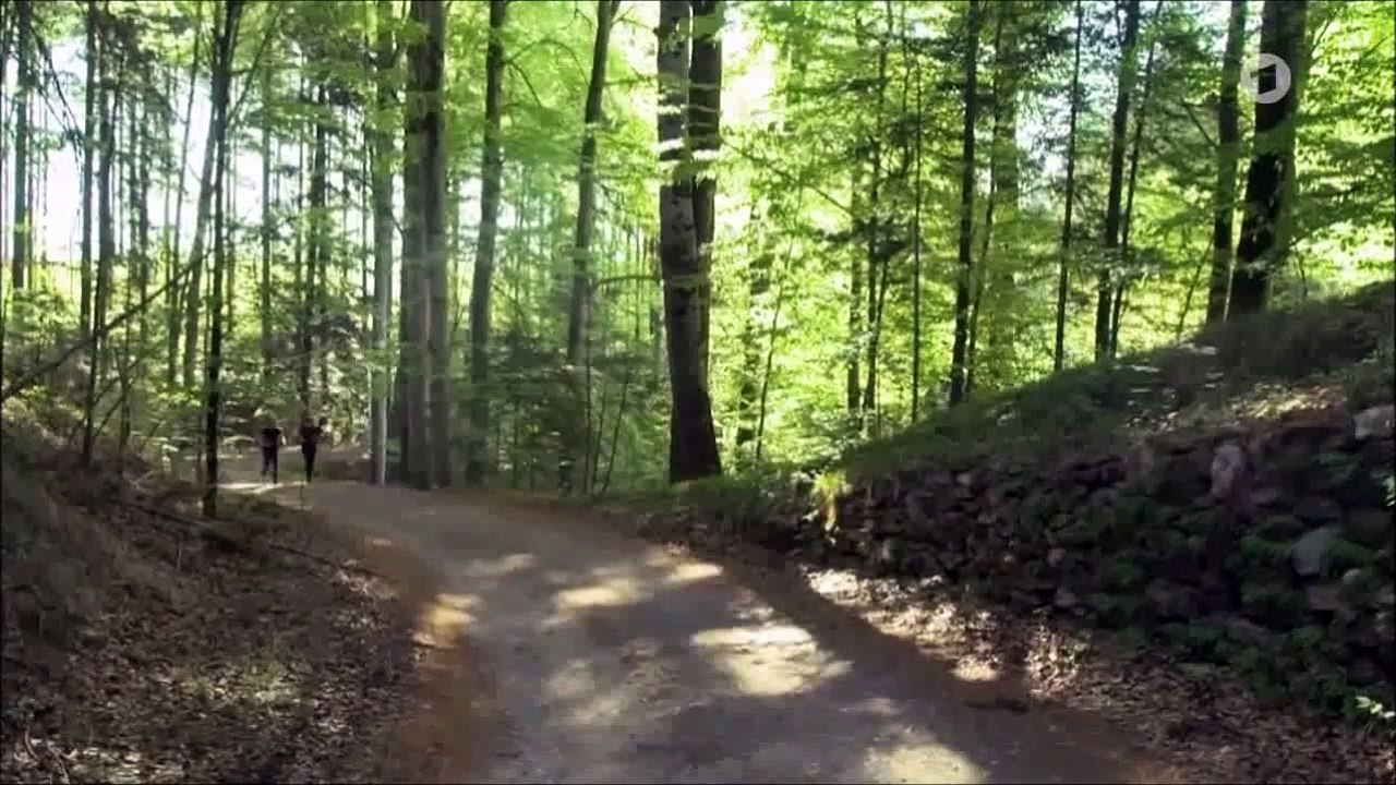 Boris & Tobias Episode 2955