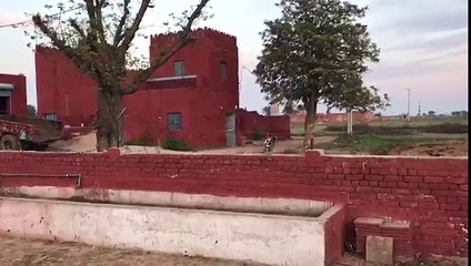 Abdullah  Buffalo Dairy Farm ugowal Gujarat