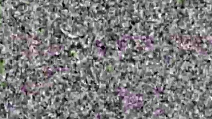 Puppycorn Crying Csupo [60FPS]