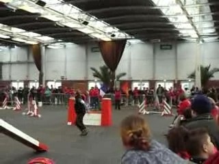 Agility shona jump et 3°