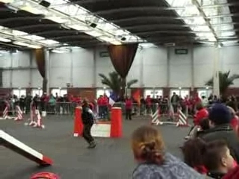 Agility shona jump et 3°