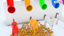 Learn Colors With Horse Pipe Balls For Kids #z   Colours With Animals For Children Toddlers