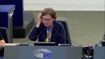 Plenarrede MEP Rebecca Harms zu Weitere Makrofinanzhilfe für die Ukraine