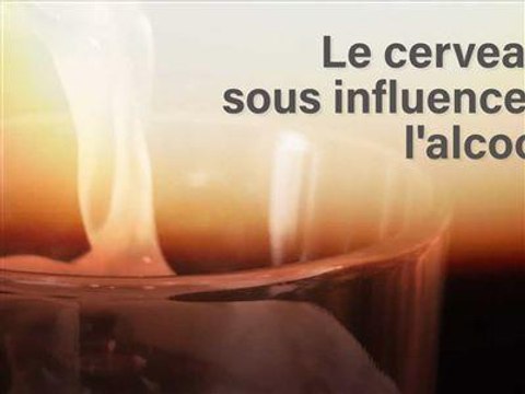 Le cerveau sous l'influence des drogues - Épisode 6 : l'alcool