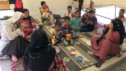 Mevsimlik tarım işçileri fındık hasadını bekliyor - ORDU