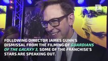 Chris Pratt Tweets Cryptic Bible Verse Amid James Gunn Fallout
