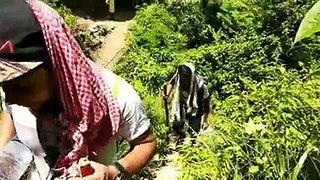 Sitakund overview | Awesome tourist place in Bnagladesh | Beauty of nature | Tourist place in Bangladesh