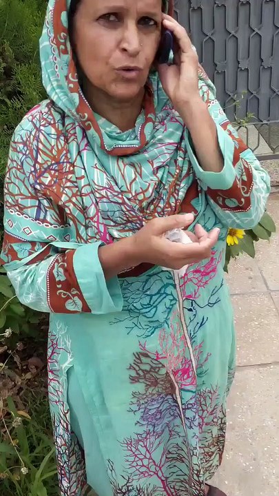 PMLN Found New Way of Corruption