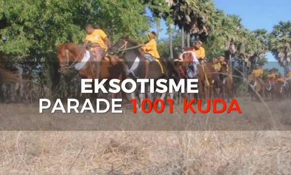 Eksotisme Parade 1001 Kuda di Sumba Timur
