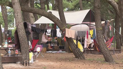 강릉 '초열대야'...캠핑으로 '더위 탈출' / YTN