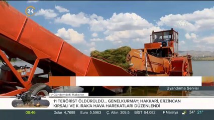 Ankara'nın denizi 'Mogan gölü' temizleniyor