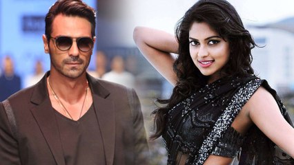 தனுஷ், அசின், திரிஷா பாலிவுட் கதி அமலா பாலுக்கும் நடுக்குமா?- வீடியோ