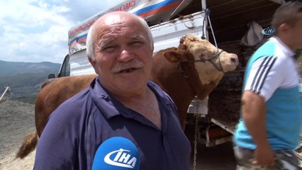 15 Temmuz doğumlu dev boğayı alana, yanında 3 boğa hediye