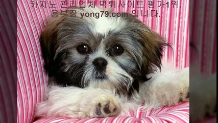 안전놀이터 ♧【【 yong79。ＣOM 】】♧ 온라인토토