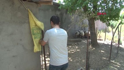 Diyarbakır Bedelli Askerlik İçin Hayvanlarını Satışa Çıkardı Hd