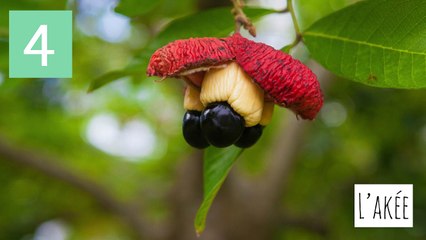 Les 10 aliments les plus dangereux