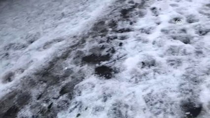 Ardahan'da Dolu Yağışı Hayatı Felç Etti!