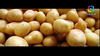 لهذا السبب.. إياك أن ترمي البطاطس عندما تظهر هذه البراعم فيها ! تعرفوا إلى السبب وراء ذلك