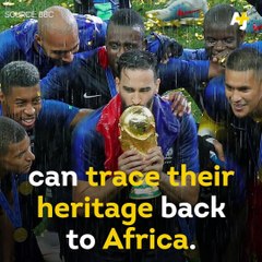 “Africa won the World Cup!” Trevor Noah is defending the comments he made on the Daily Show.