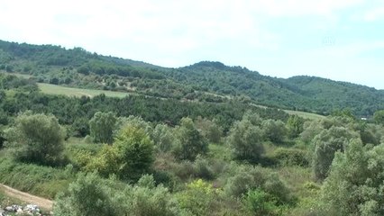 Ormanda Kaybolan 2 Genç Kurtarıldı - Yalova