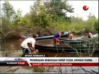 Warga Kalteng Dihebohkan Penemuan Fosil Purbakala