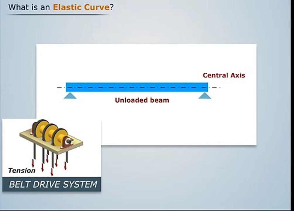 What is Elastic Curve? | Magic Marks