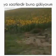 Yalnızlık sendromunu anlayan Türk