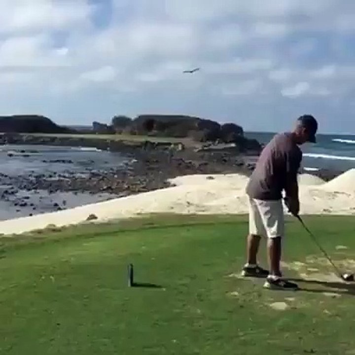Golf ile kuş vurmak