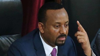 Ethiopia's only option is multiparty democracy with strong institutions: PM
