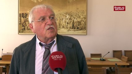 Affaire Benalla : «  Un cours de droit constitutionnel à ciel ouvert pour les Français » selon De la Gontrie ; Collombat