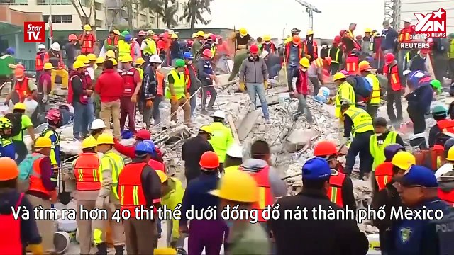 Chú chó cứu mạng 12 người được tạc tượng ghi danh