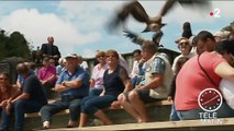 Parc du mercantour : à la découverte des rapaces