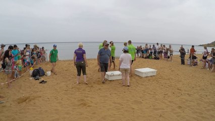 23.07.2018 Turtle Release Rambla Bay - Gozo