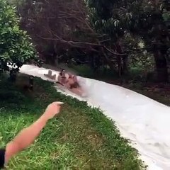 Des jeunes arrivent à fond en bas d’un toboggan aquatique