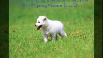 네임드사다리 △【【 yong79。ＣOM 】】△ 네임드사다리