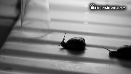 Dört Köşeli Üçgen - Fragman