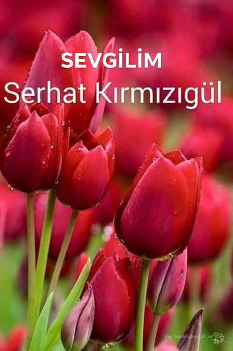 SEVGİLİM SİNGLE