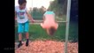 Funny Videos Compilation 2016 - New Funny Clips, Fails & Vines - YouTube