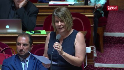 Maryse Carrère (RDSE): « Les faits dont il est question, ne peuvent hélas que nourrir les populismes et la défiance envers les politiques ».