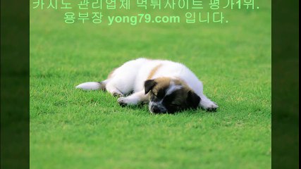 케이토토 ♠【【 yong79。ＣOM 】】♠ 카지노주소