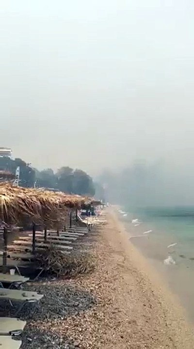 Μεγάλη φωτιά στην Κινέτα - Στην παραλία οι φλόγες