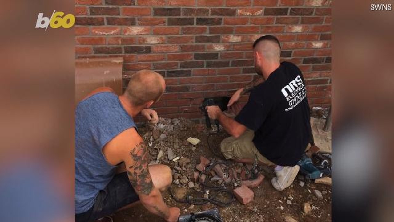 Unbelievable! Cat Rescued Weeks After Being Bricked into New Home's Foundation