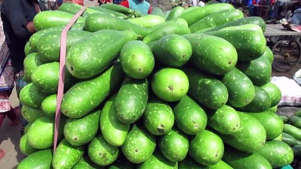 Gourd Loading on a Van ||  (লাউ)