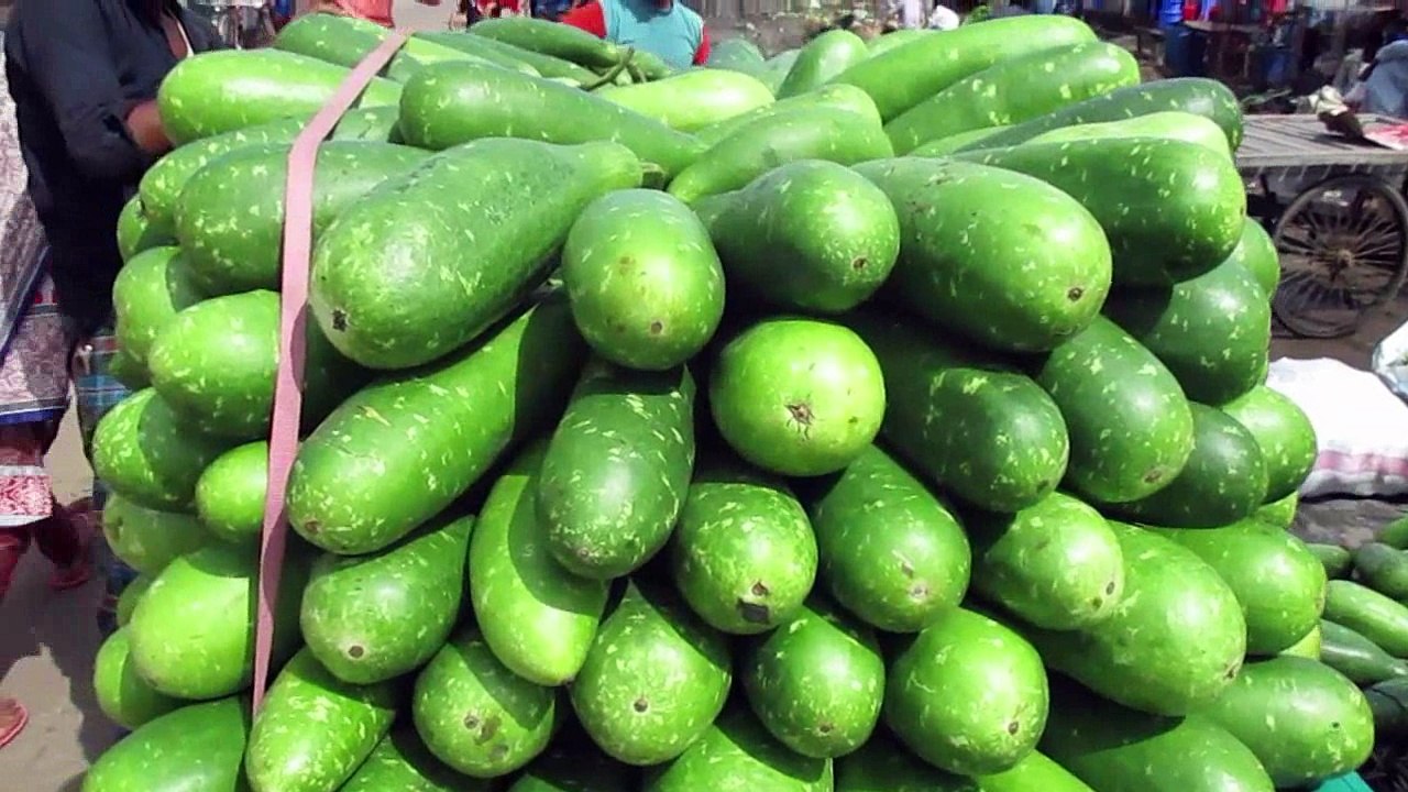 Gourd Loading on a Van ||  (লাউ)