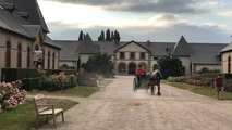 Visite théâtralisée au Haras national