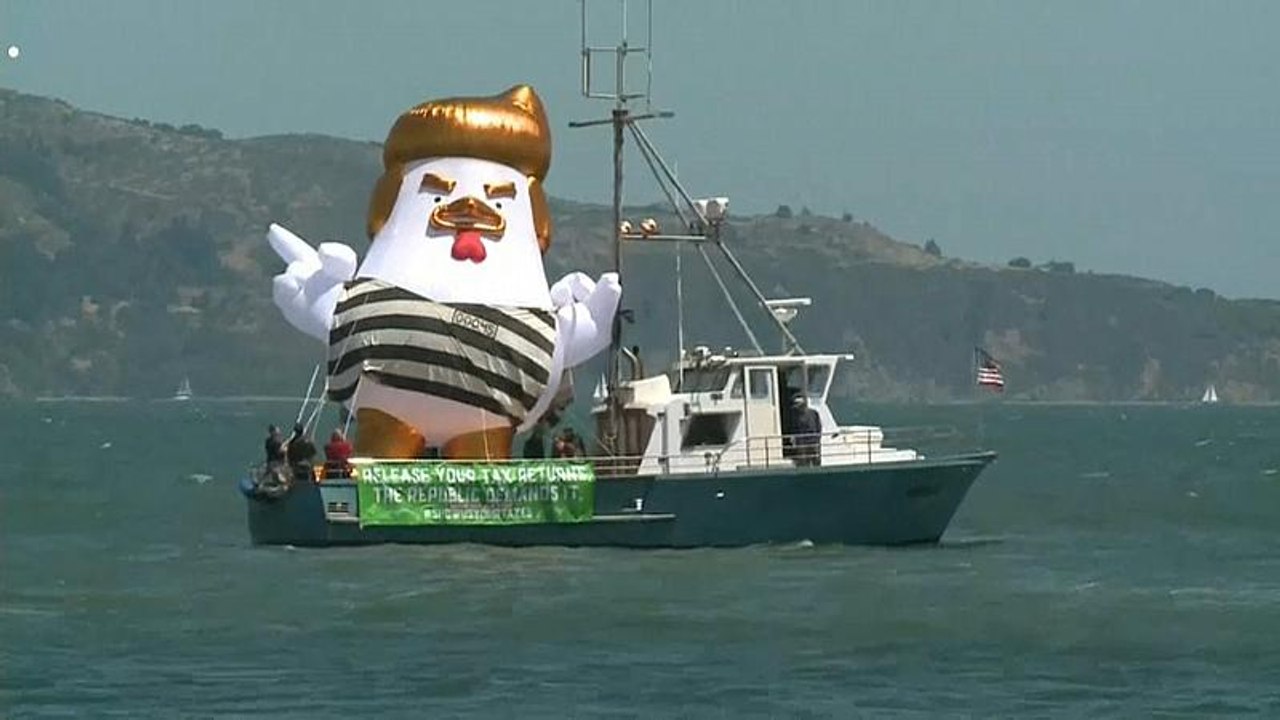 'Trump chicken' makes its comeback circling Alcatraz Island