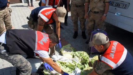 Çürük lahana içerisine gizlenmiş 15 kilo eroin ele geçirildi